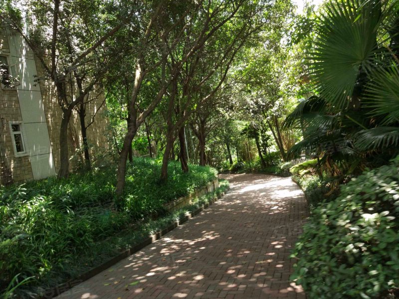 水木青华,湖滨西路19号-重庆水木青华二手房,租房,房价-重庆安居客