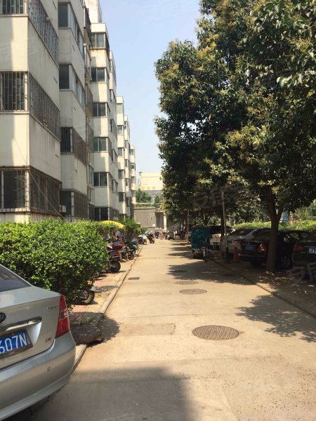 瑞祥花园(金水),索凌路9号-郑州瑞祥花园(金水)二手房,租房,房价-郑州