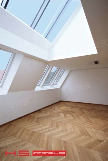 奥地利维也纳约¥978万AustriaViennaApartment出售二手房公寓图片
