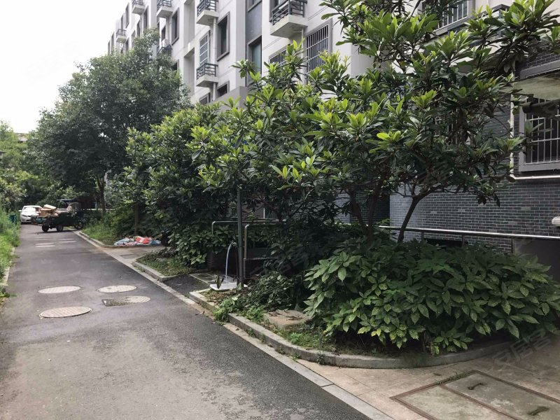 西溪庭院,闲林东路-杭州西溪庭院二手房,租房,房价-杭州安居客