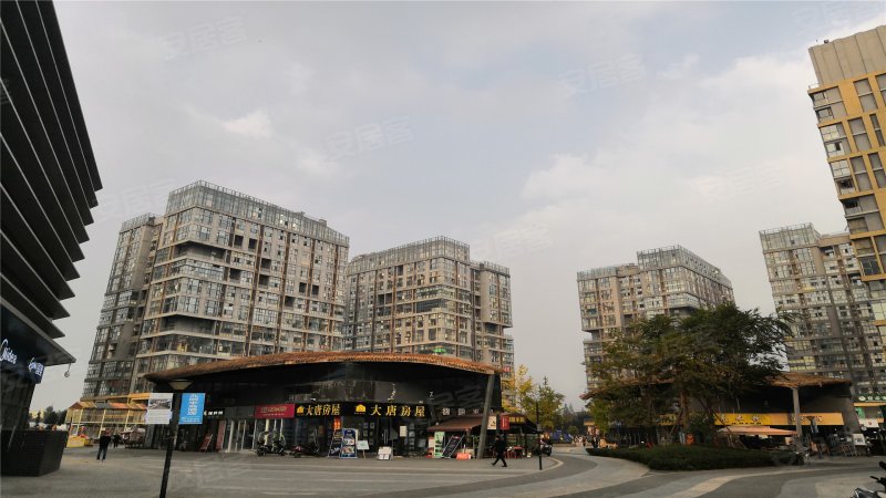 蓝光空港国际城(二期),珠江路600号-成都蓝光空港国际城(二期)二手房