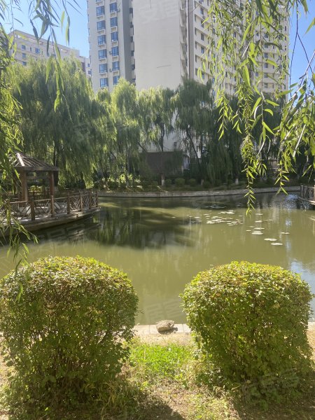 浅水湾凤翔居,庐山路,近澜沧江路-铁岭浅水湾凤翔居二手房,租房,房价