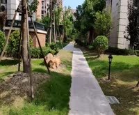 保集澜湾(二期)