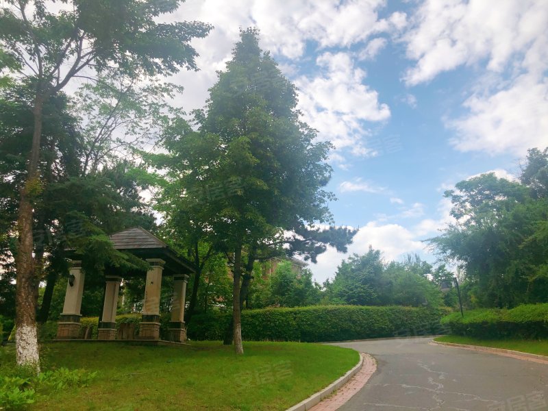 森林华墅,柳莺东路885号-长春森林华墅二手房,租房,房价-长春安居客