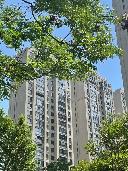 唐宁府,钟南街118号-苏州唐宁府二手房,租房,房价-苏州安居客