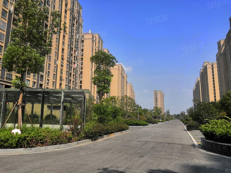 东鼎名人府邸(东区),善西公路-嘉兴东鼎名人府邸(东区)二手房,租房