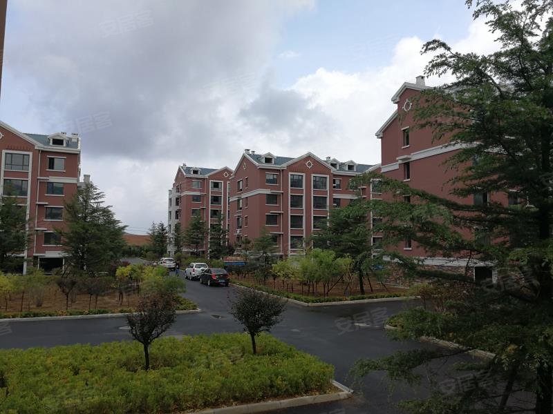 金府花园,府前路32号-青岛金府花园二手房,租房,房价-青岛安居客