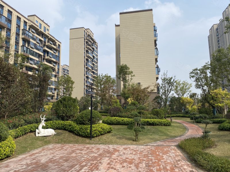 碧桂园黄金时代