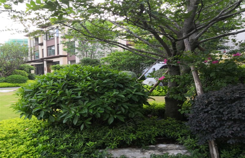 弘阳博爱湖一号