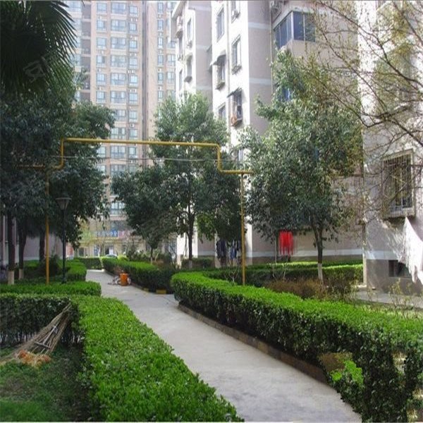 云峰大厦(新城),北关正街3号-西安云峰大厦(新城)二手房,租房,房价