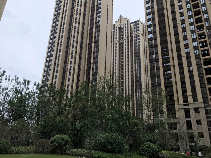 绿都紫荆华庭佳园