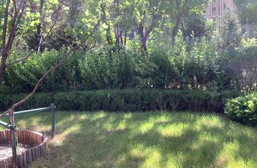 大华锦绣华城一街区艾南花苑