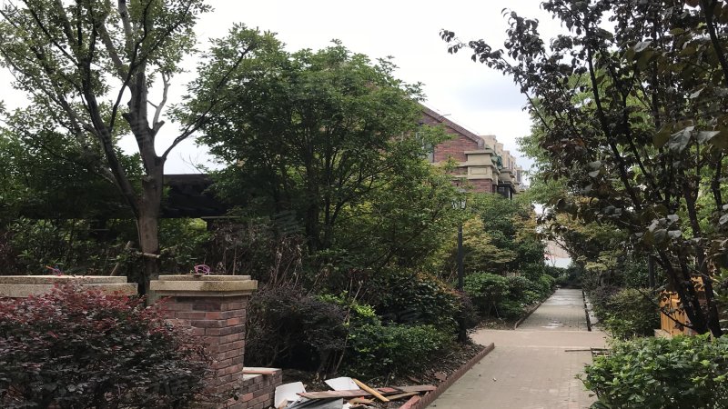 首创旭辉城(一期别墅) 