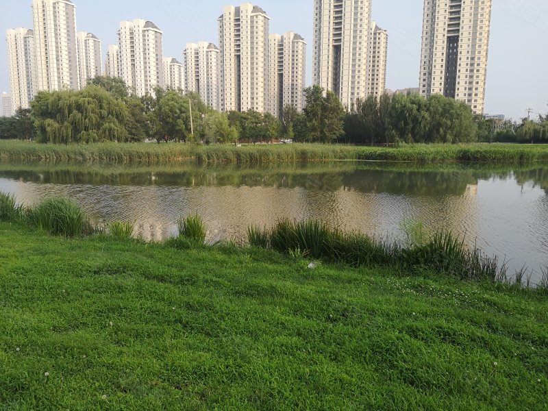 银河湾家园,长白西二街50号-沈阳银河湾家园二手房,租房,房价-沈阳