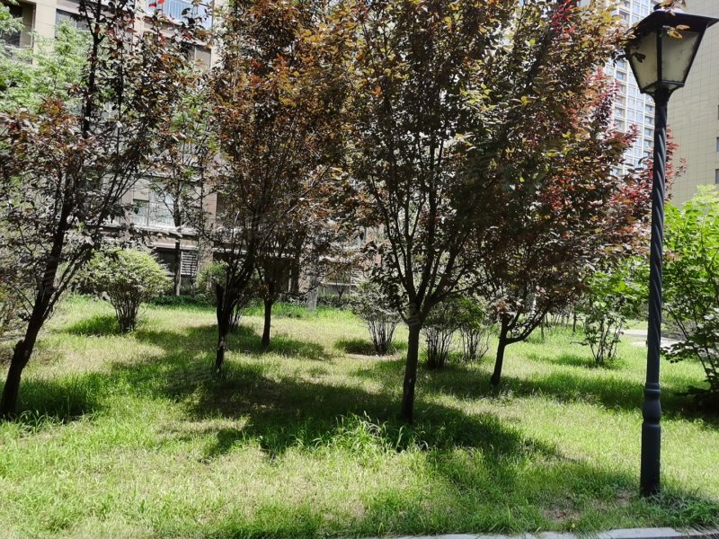 南苑新城,中华路-聊城南苑新城二手房,租房,房价-聊城安居客