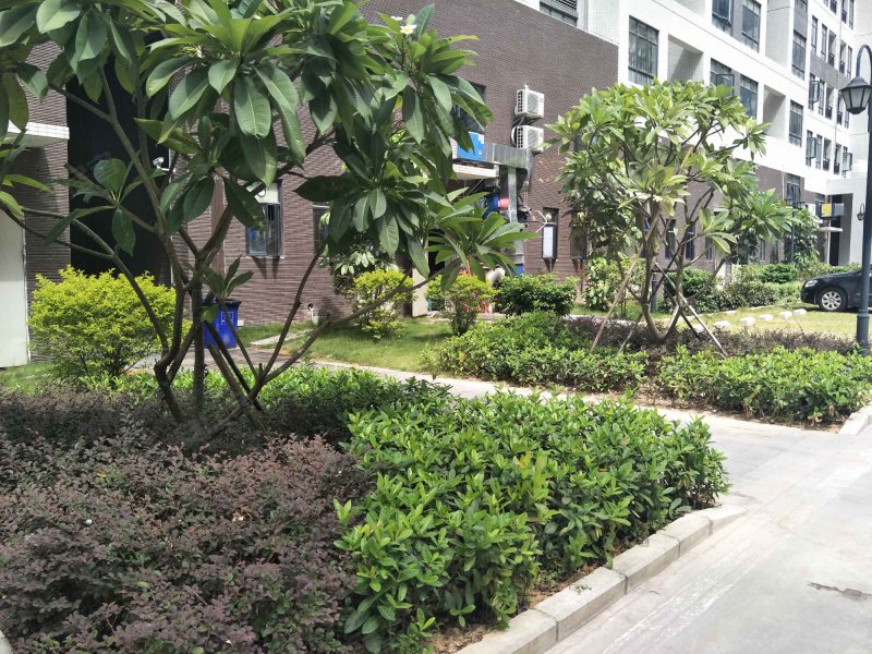 惠湾花园,龙山十路-惠州惠湾花园二手房,租房,房价-惠州安居客