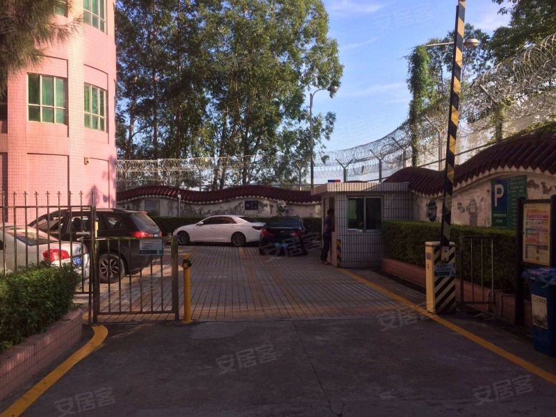 河畔明居(明苑大厦),滨河大道-深圳河畔明居(明苑大厦)二手房,租房