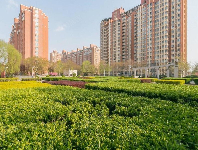 万年花城玫瑰碗(万年花城三期)