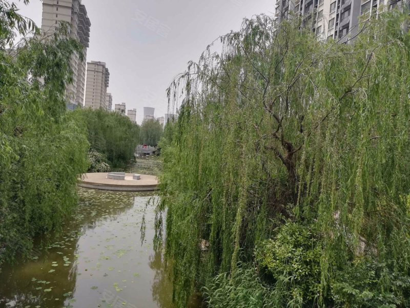 鲁商南池公馆,南池路-济宁鲁商南池公馆二手房,租房,房价-济宁安居客