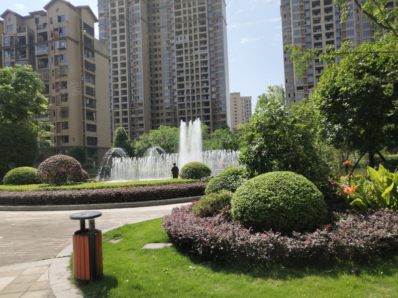 南岸花城春天里