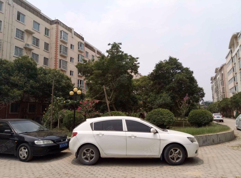 新宇花园,第七大街148号-郑州新宇花园二手房,租房,房价-郑州安居客