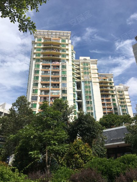 金色海琴苑,后海大道-深圳金色海琴苑二手房,租房,房价-深圳安居客