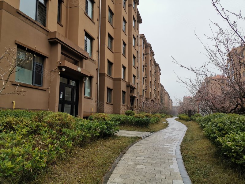 金帝桂都,青山中路-威海金帝桂都二手房,租房,房价-威海安居客