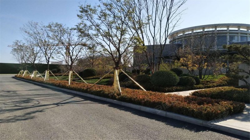 保利罗兰,欣博街-大连保利罗兰二手房,租房,房价-大连安居客