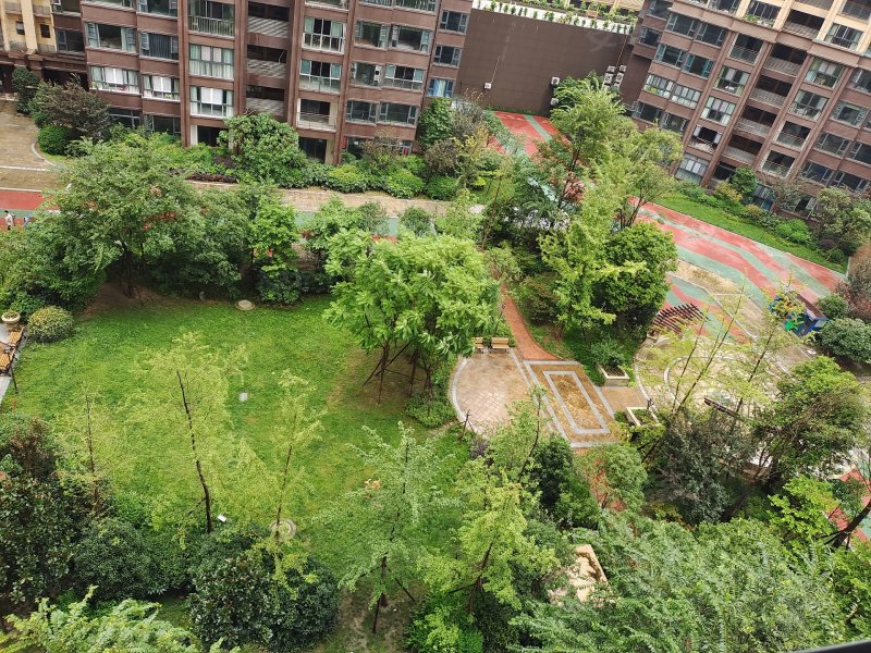 金都华府,顺运街56号,滨江路二段322号-成都金都华府二手房,租房,房价