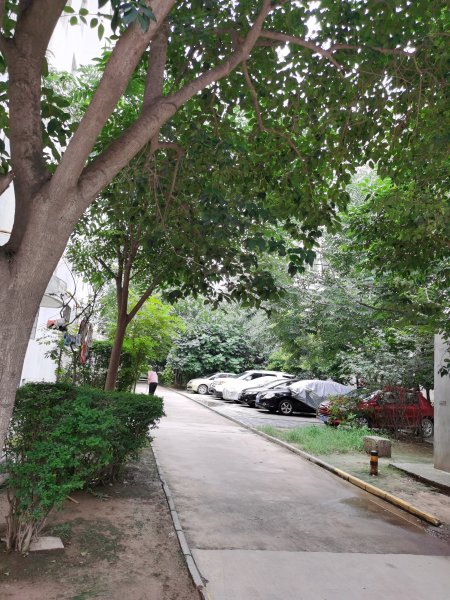 景观城,新兴路-西安景观城二手房,租房,房价-西安安居客