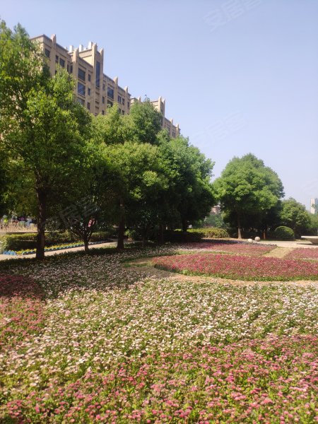 美的城(别墅),金龙湖东支路,近振兴大道-徐州美的城(别墅)二手房,租房