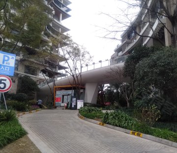 麓湖生态城隐溪岸