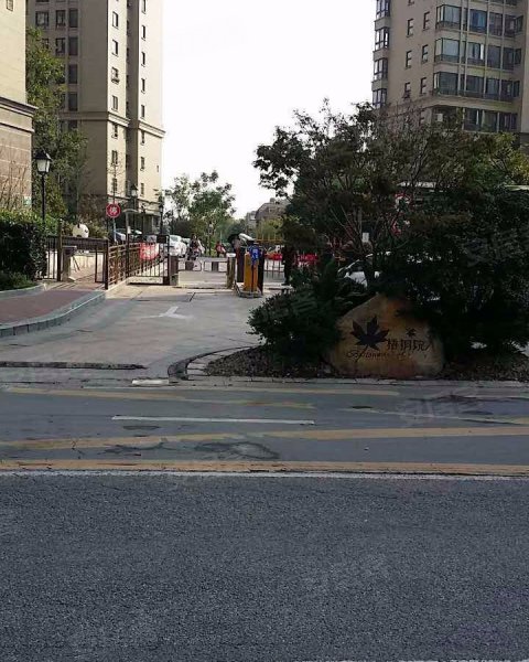 绿地梧桐院别墅 