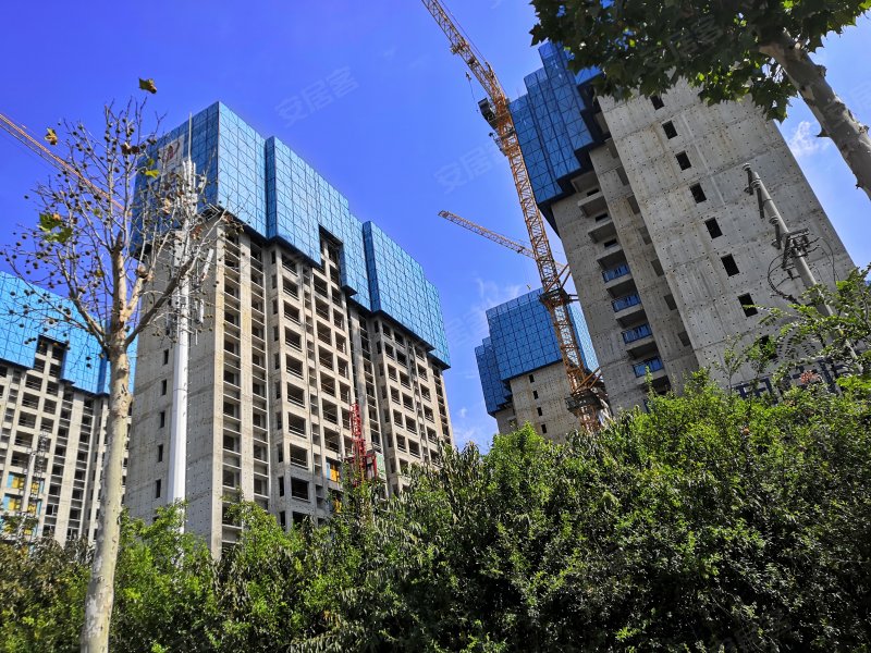 碧桂园天钻,北海路-商丘碧桂园天钻二手房,租房,房价-商丘安居客