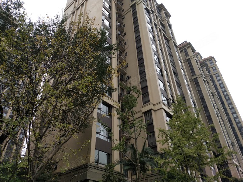 公园1号,青衣街,近江公街-眉山公园1号二手房,租房,房价-眉山安居客