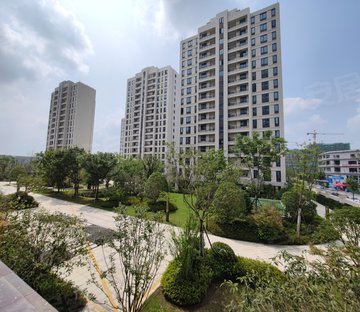 保集禹洲府