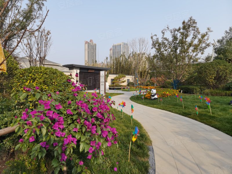 蓝光雍锦半岛,南环西路-衡水蓝光雍锦半岛二手房,租房,房价-衡水安居