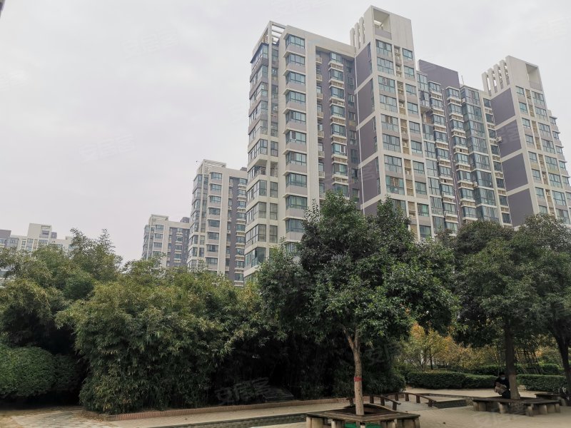 鑫苑国际城市花园,棉纺东路21号-郑州鑫苑国际城市花园二手房,租房