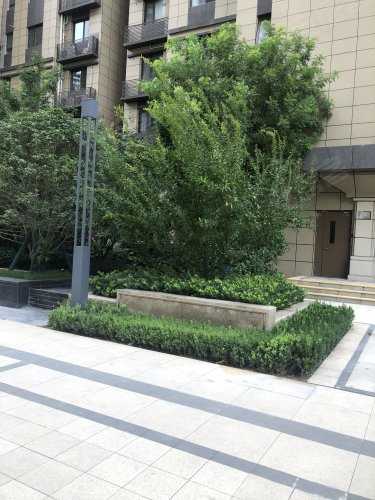 富力开远城f区,益民巷118号 - 西安富力开远城f区二手房,租房,房价