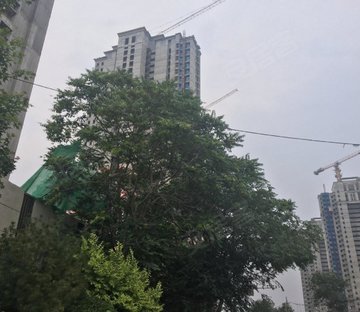 中海左岸澜庭