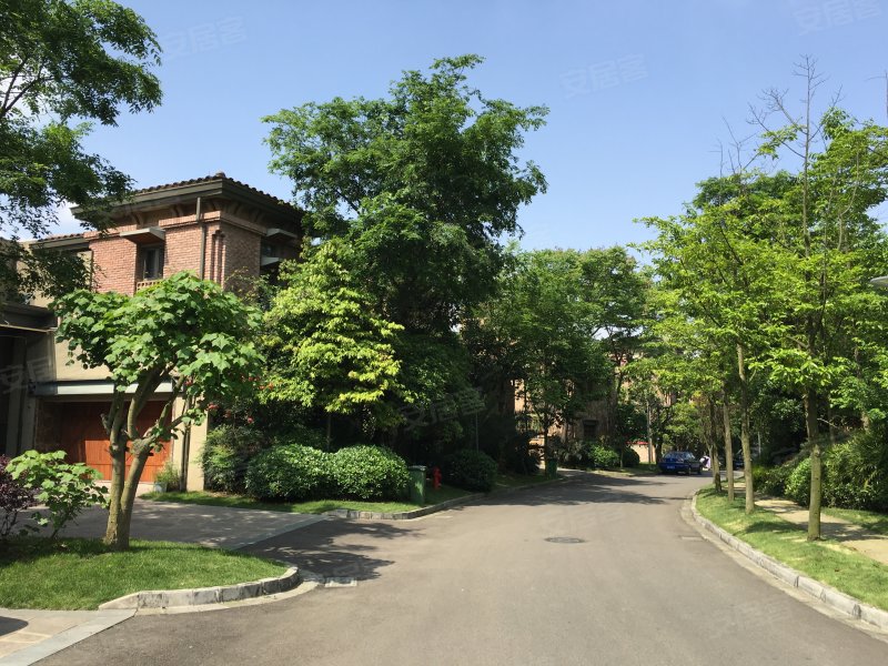 麓山国际黑钻山庄