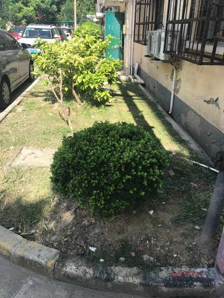 航华二村三街坊 