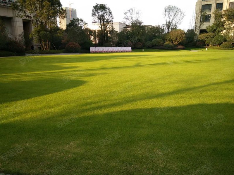 新力洲悦,云锦路-南昌新力洲悦二手房,租房,房价-南昌安居客