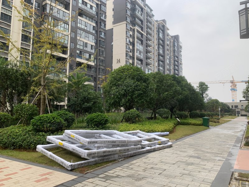 金时花园二期,刘塘路-怀化金时花园二期二手房,租房,房价-怀化安居客