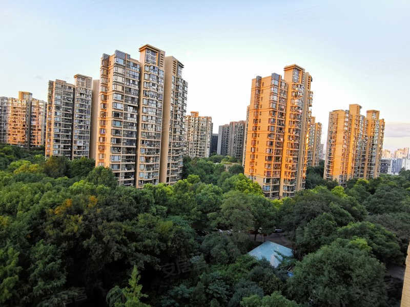 金沙雅苑未来街区