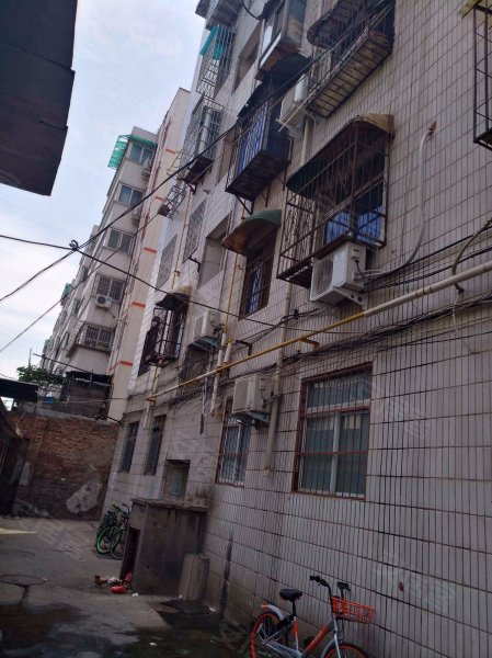 东都商厦家属院,莲花寺西街45号-洛阳东都商厦家属院二手房,租房,房价