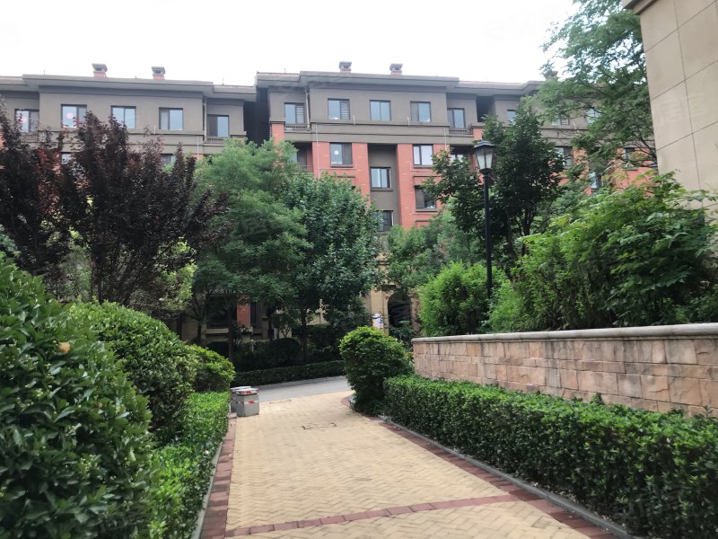 泰山新湖绿园,府东路1号-泰安泰山新湖绿园二手房,租房,房价-泰安安居