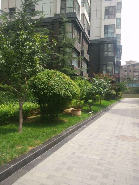 天成金色堤岸,南滨河东路,近金昌北路-兰州天成金色堤岸二手房,租房