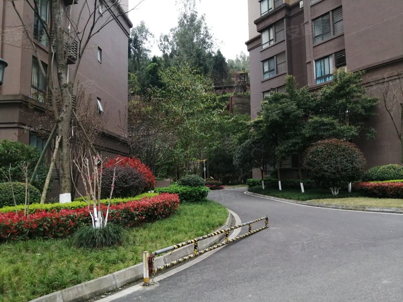 置信逸都花园b区