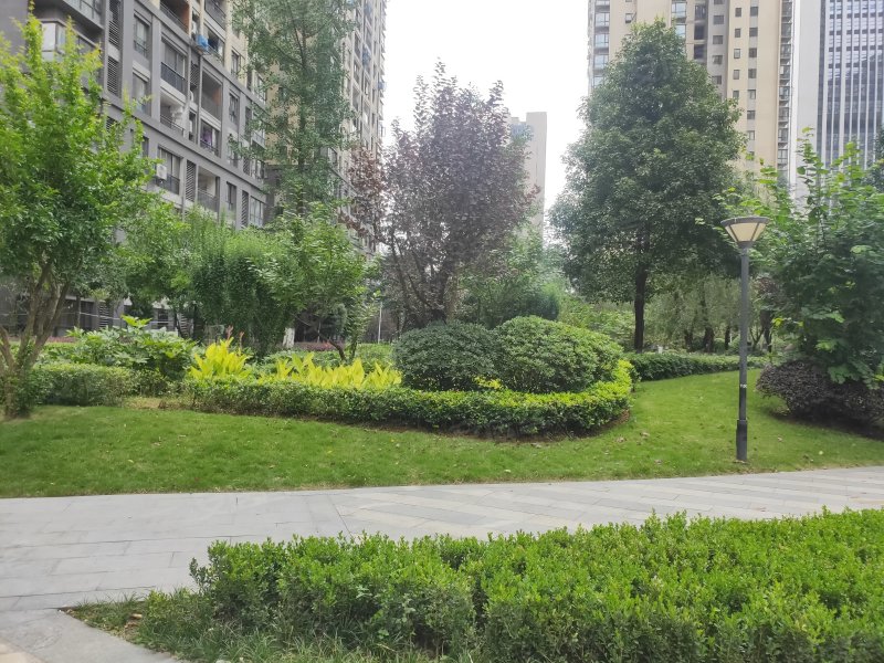 保利未来城市一街区